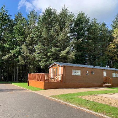 Rose Lodge - Hot Tub Getaway - Percy Woods - Pet Friendly Morpeth Exterior photo