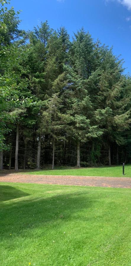 Rose Lodge - Hot Tub Getaway - Percy Woods - Pet Friendly Morpeth Exterior photo